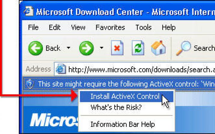 ActiveX-komponent Internet Exploreri brauseri jaoks: kirjeldus ja installimine