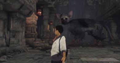 The Last Guardian - пернатий друг