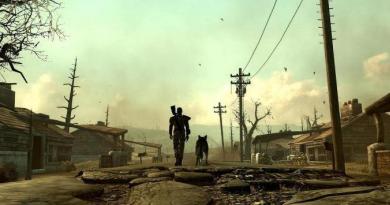 Fallout nauji vegas kodai neįvesti