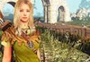 Online affiliate program Black Desert